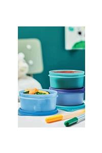 Tupperware Mini Saklama Kabı 250 Ml 3'lü Set (beslenme Kabı, Mama Saklama )