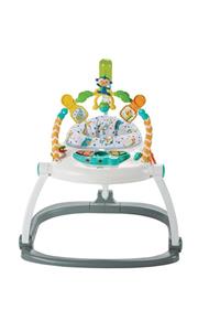 FISHER PRICE Renk Karnavalı Katlanabilir Jumperoo