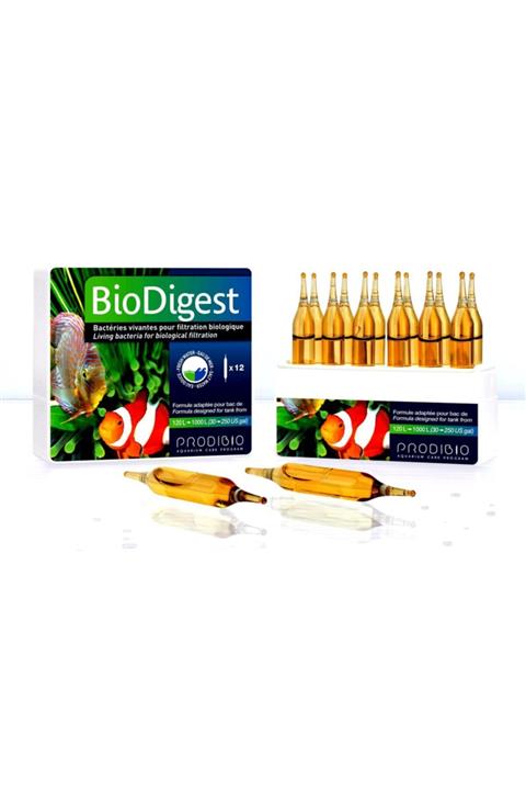 PRODIBIO Biodigest 1 Ampul