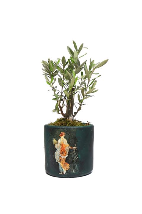 Fideland Roma Duvar Resmi Desenli Toprak Saksılı Zeytin