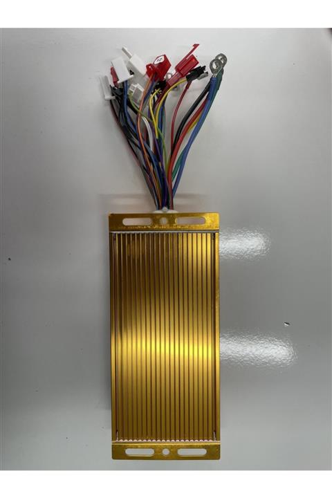 Wiwi Elektrikli Bisiklet Akıllı Beyin