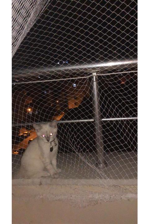 FİLEE Kedi Güvenlik Ağı 2*5 M2 2 Cm Göz Aralığı