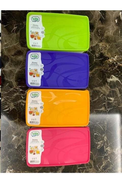 HOBBY LİFE 2 Litre Alaska No Frost Saklama Kabı 4 Adet