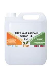 tito Çilek Nane Aroması [suda Çözünür] 5 lt