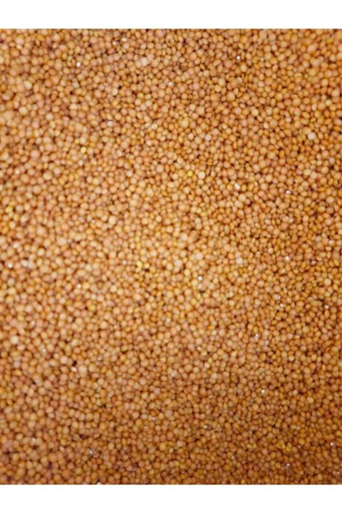 ENGIN Mercimek Kırmızı 5 Kg Organik