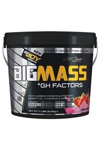 Bigjoy Sports Bigjoy Big Mass Gh Factors 5000 gr Çilek Aromalı