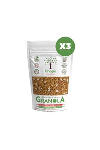 Cinagro Goodies Granola Elma Tarçın Ceviz 3'lü