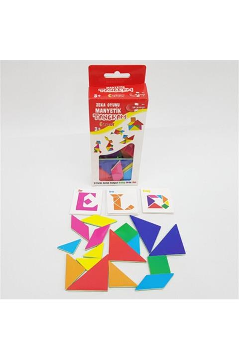 DIYTOY Manyetik Zeka Oyunu Tangram 36 Parça