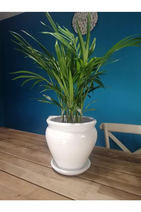 Balcony Flower Orta Boy Çömlek Saksı