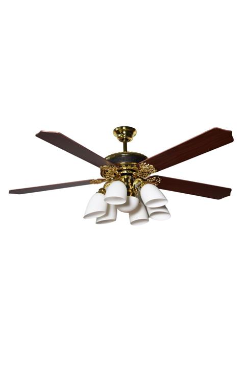 ASNORM Pihu Tavan Vantilatörü  Prinç