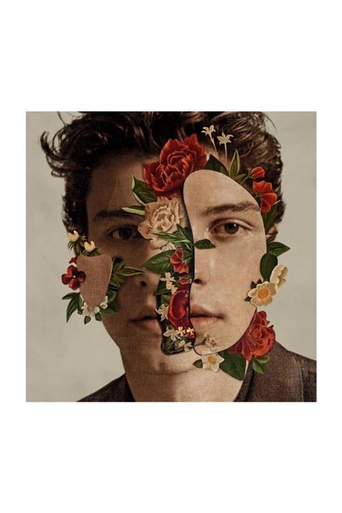 Island Records UK Shawn Mendes (deluxe)