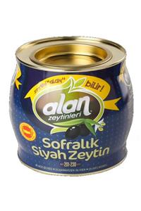 Alan Zeytinleri Gemlik Özel Special 2 Kg Siyah Zeytin Teneke (201-230 KB XL)