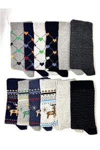 Black Arden Socks Pamuklu 12'li Karışık Renkli Kadın Çorap Bt-0113