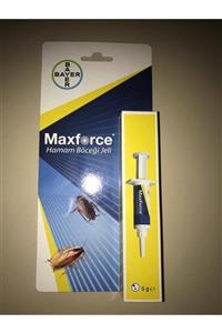 Bayer Maxforce Hamam Böceği Ilacı Jel 5 Gr