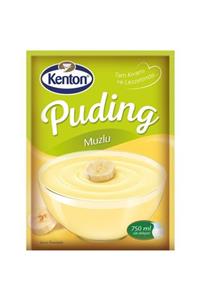 Kenton Puding Muzlu 125gr 2'li