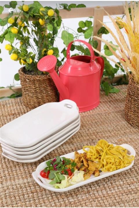 Işıltı My Home Multipurpose 6'lı Orta Boy 32*14 Cm Tavuk Dünyası Model Servis Tabağı