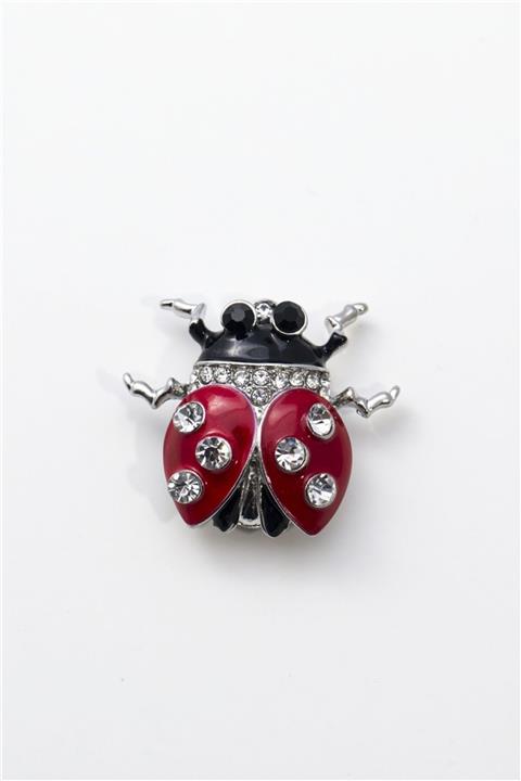 Sortie Aksesuar Kadın Kırmızı Uğur Böceği Figürlü Broş