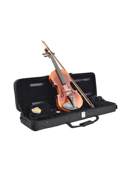 Dominguez Profesyonel Keman El Yapımı 4/4 (dvpg44-p1)