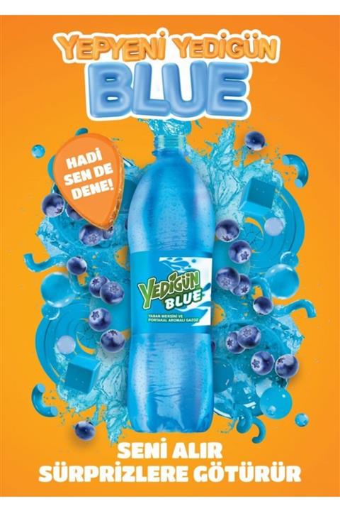 Yedigün Pet 250 Blue 12 Adet