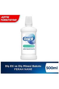 OralB Diş Eti Ve Diş Minesi Onarım Ağız Çakalama Suyu Ekstra Ferah 500 Ml