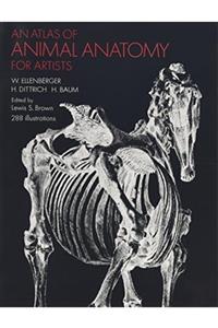 Dover Classics An Atlas Of Animal Anatomy For Artists