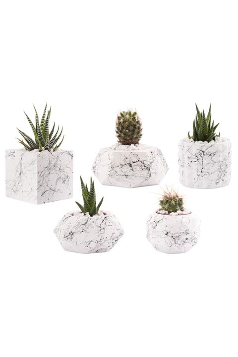 MET Dekorasyon Beton Saksı Kaktüs Ve Sukulent 5'li Beyaz Siyah Saksı Seti