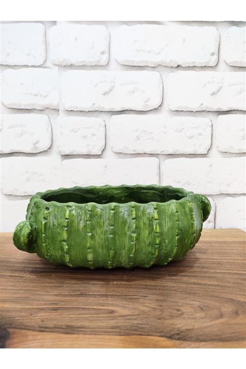 ÇAĞATÖLYE Uzun/oval Kaktüs Saksı