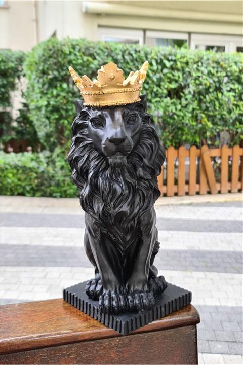 Ella's Design Studio Aslan Kral Gold Taçlı Siyah Heykel