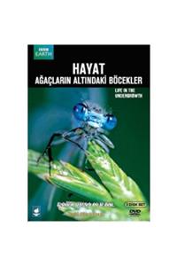 BBC Ağaçların Altındaki Böcekler - Lıfe In The Undergrowth - 2 Dvd