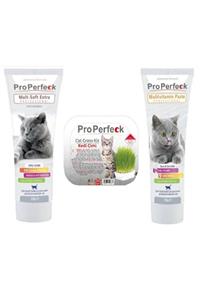 GND Pro Perfeck Malt Soft Extra 100 Gr Pro Perfeck Multivitamin Paste 100 Gr Pro Perfeck Kedi Çimi