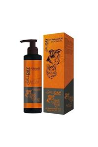 ALLDAY PHARMACY Allday Somon Yağı Kedi&köpek 200 Ml Salmon Oil