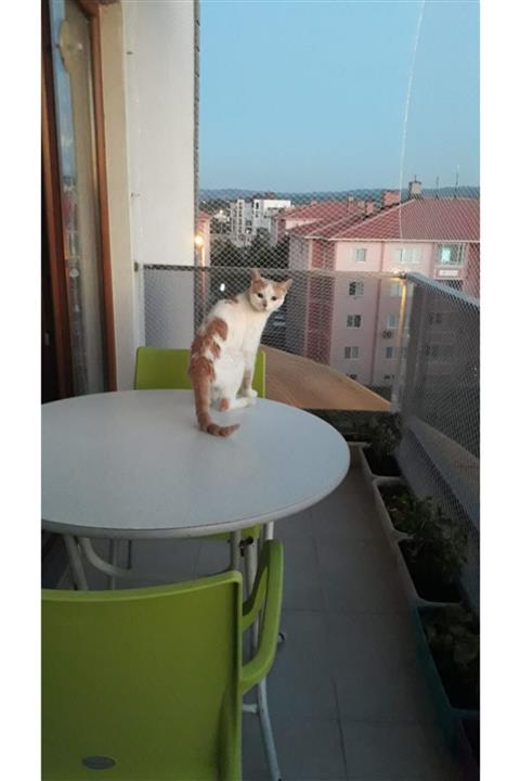 Halatİşeleri Kedi Güvenlik Ağı Filesi