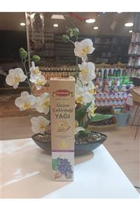 Cemil Efendi %100 Doğal Soğuk Sıkım Saf Üzüm Çekirdeği Yağı 250ml
