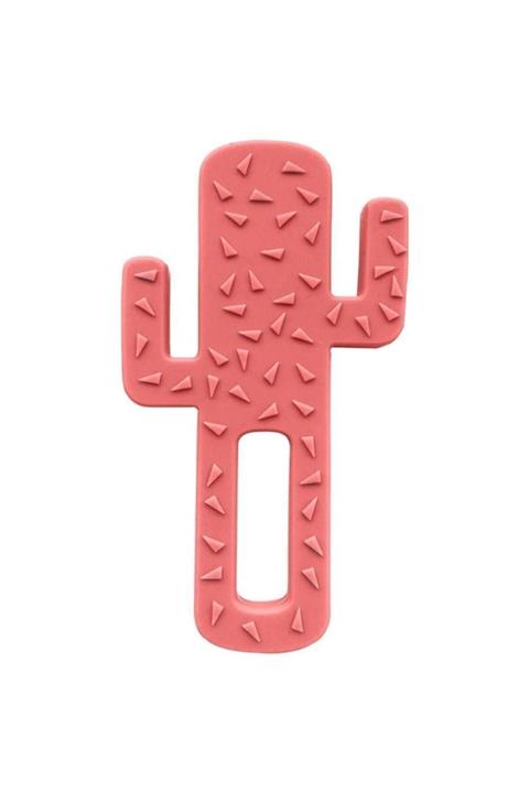 Oioi Bordo Kaktüs Diş Kaşıyıcı