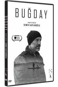 Assanat Buğday (dvd)