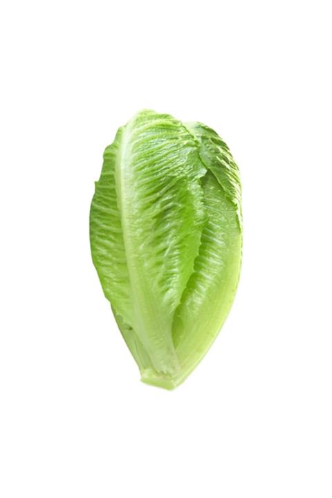 Sebze Meyve Dünyası Marul (adet)