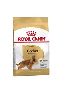 Royal Canin Cocker Irka Özel Yetişkin Köpek Maması 3 kg