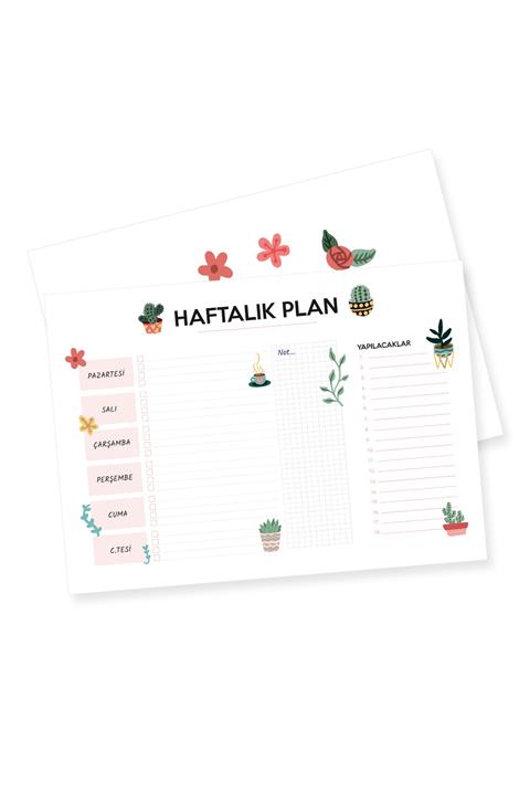 YAPRAK Haftalık Plan Defteri - Kaktüs - Pnld3019