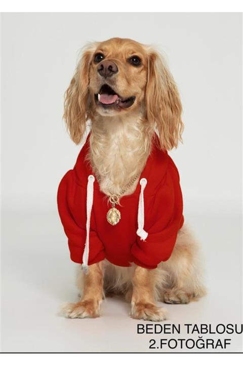 PETBUTİK8 Köpek Kıyafeti