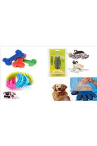 Easy Pet Köpeğiniz Için Bakım Ve Oyuncak Kemik Ve Tarak Eldiven Halka Isırma Easy00