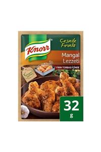 Knorr Fırında Tavuk Mangal Lezzet 32 gr