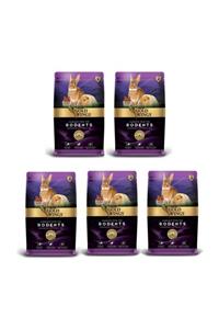 Gold Wings Premium Gold Wings Rodents Kemirgen 5' li Paket Yem 750 gr