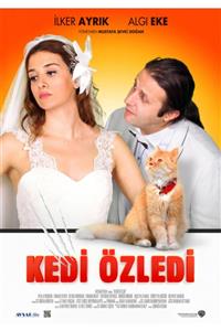 Avşar Film Kedi Özledi