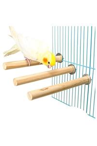 UniqBirdToys Papağan Kuş Tüneği 40 Cm ( Kalın)