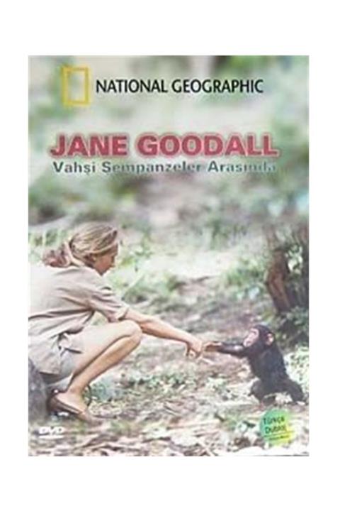 NATIONAL GEOGRAPHIC Jane Goodall Vahşi Şempanzeler Arasında Dvd