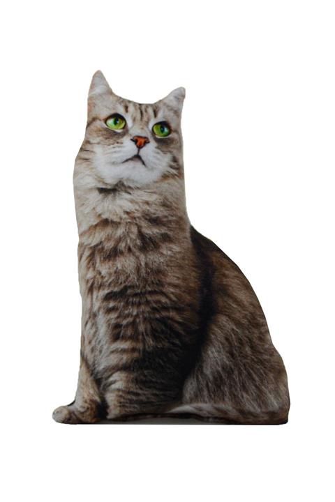 GALERİ TUNÇ Kedi Yastık Üç Boyutlu (3d) No:15
