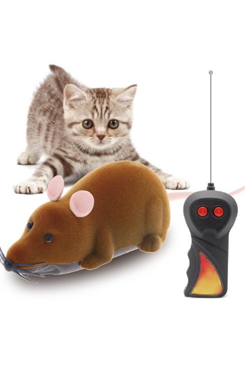 momspet Uzaktan Kumandalı Fare Kedi Oyuncağı Siyah