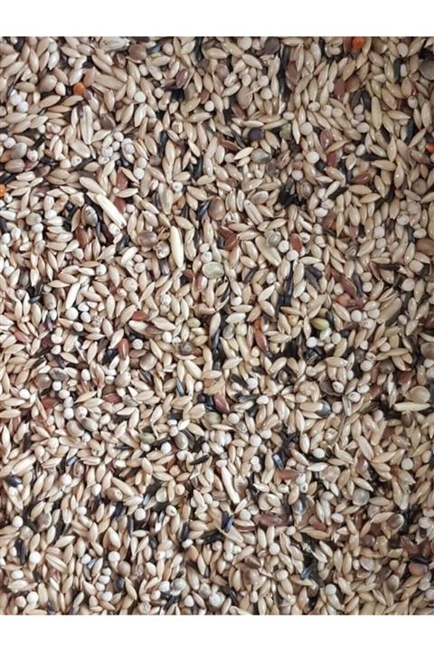 Vivid Kanarya Yemi Karışık 1kg