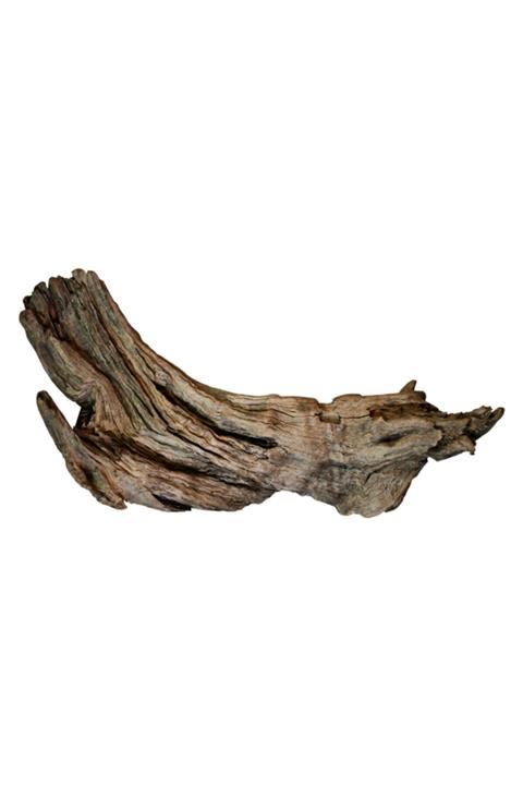 BIO AQUATIC Malezya Mango Kökü Ortalama 13-20 Cm Ortalama 150 Gr