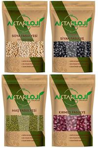 aktarloji Glutensiz 4'lü Fasulye Seti 250 Gr Kırmızı + 250 Gr Maş + 250 Gr Soya + 250 Gr Siyah Fasulye